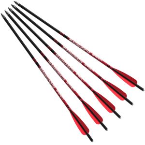 FLECHAS HEADHUNTER 20" 5PK BAR16075